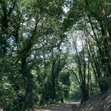 Gerendaház A Quinta De Bouzas *